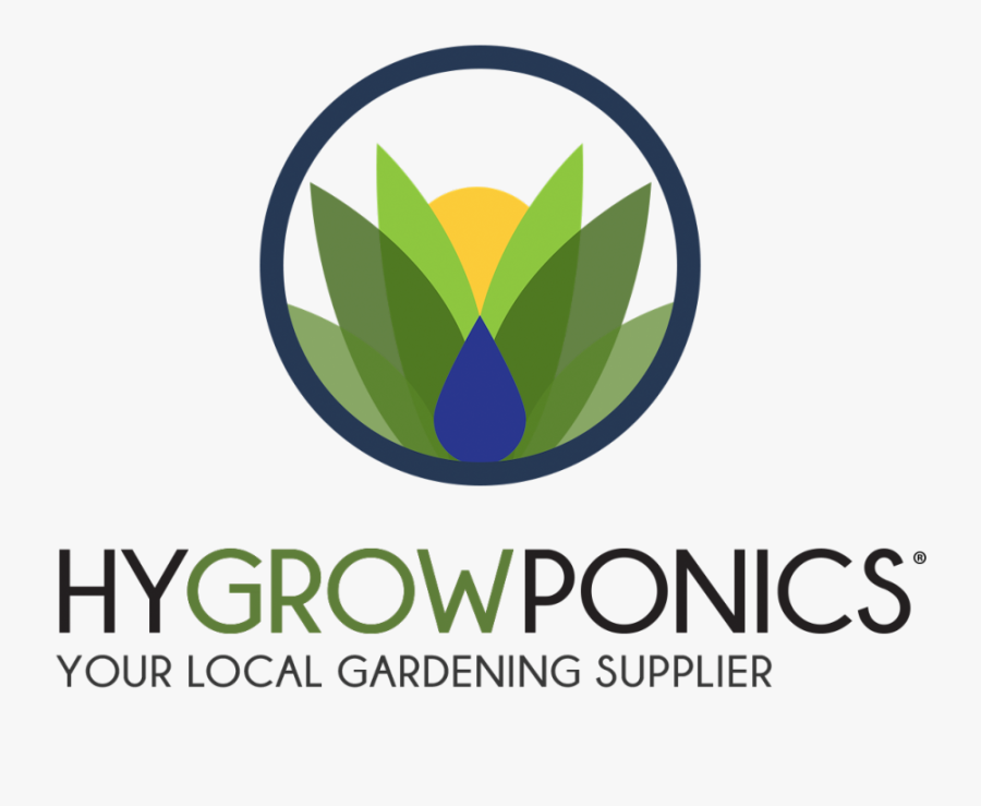 Clip Art Welcome To My Digital - Graphic Design, Transparent Clipart