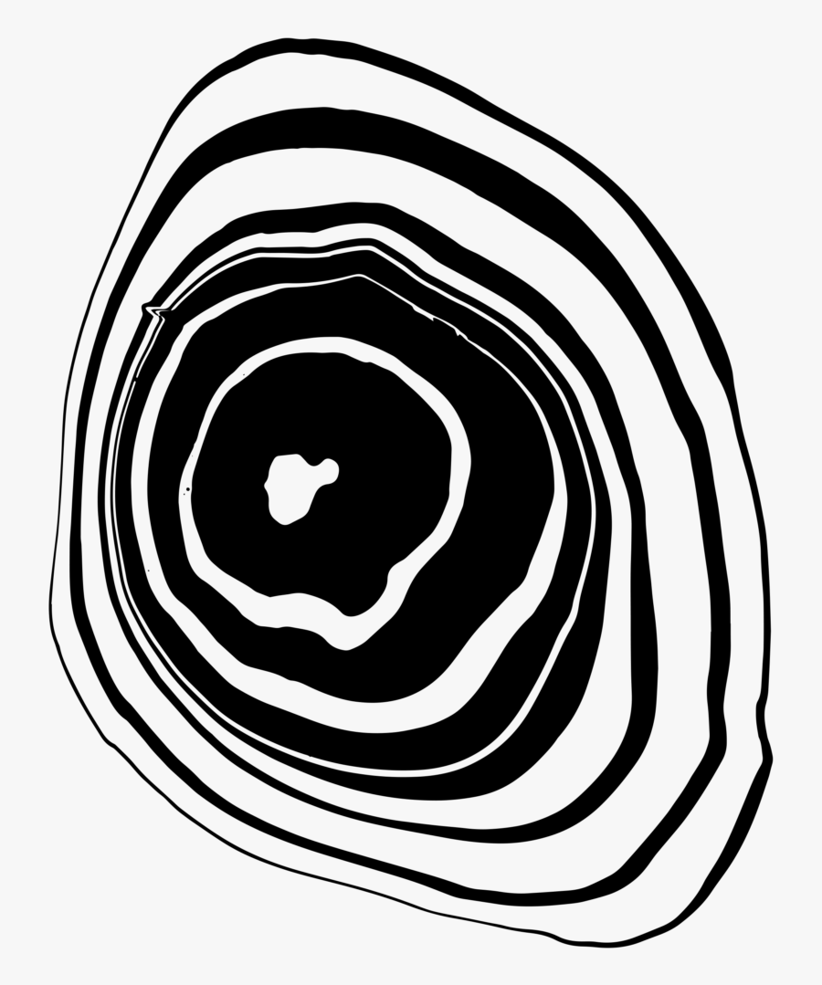 Circle, Transparent Clipart