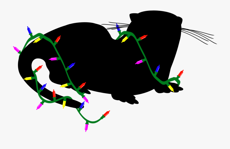 Illustration, Transparent Clipart