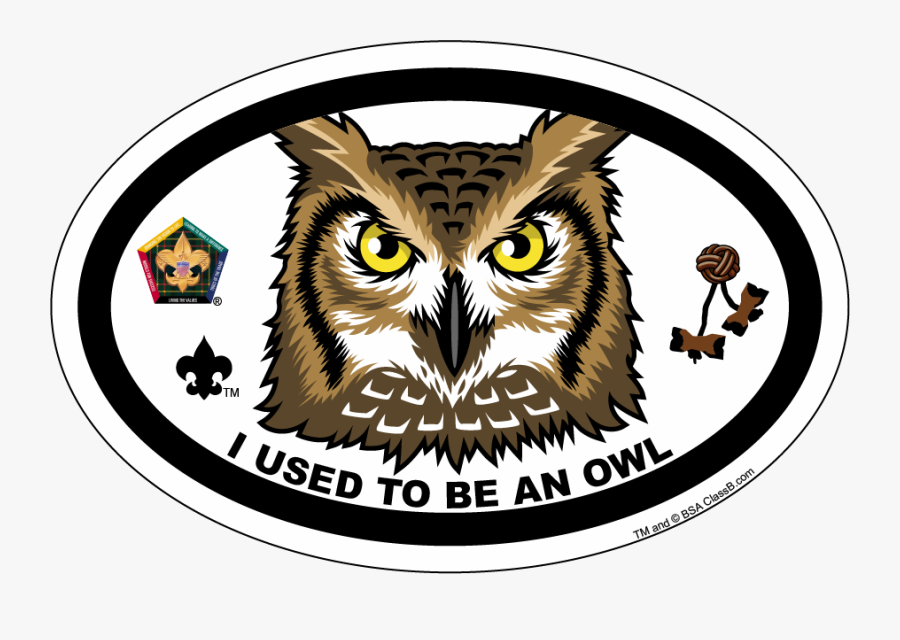 Owl Patrol Wood Badge, Transparent Clipart
