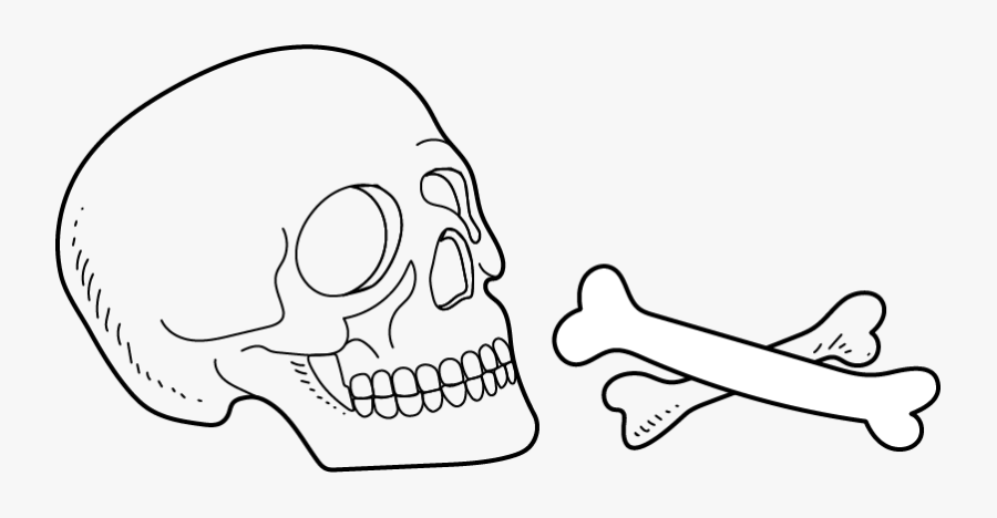 Podcast - Skull, Transparent Clipart