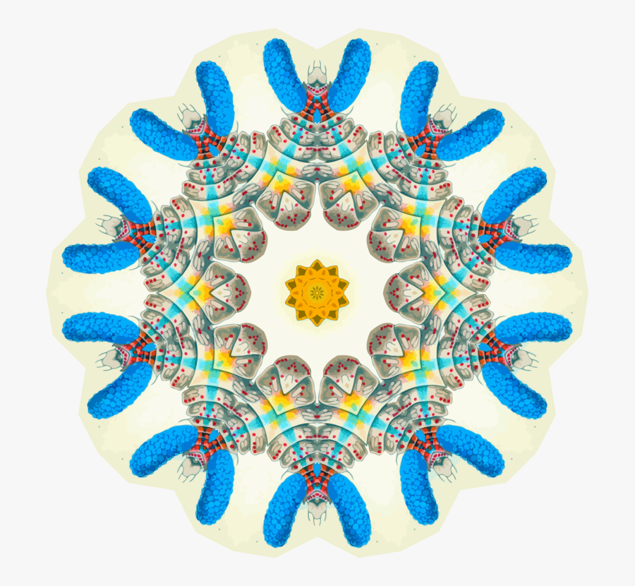 Circle,symmetry,stop Motion - Circle, Transparent Clipart