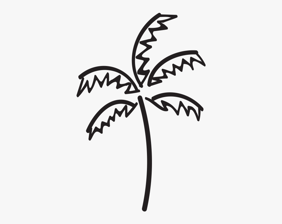 Palm, Transparent Clipart