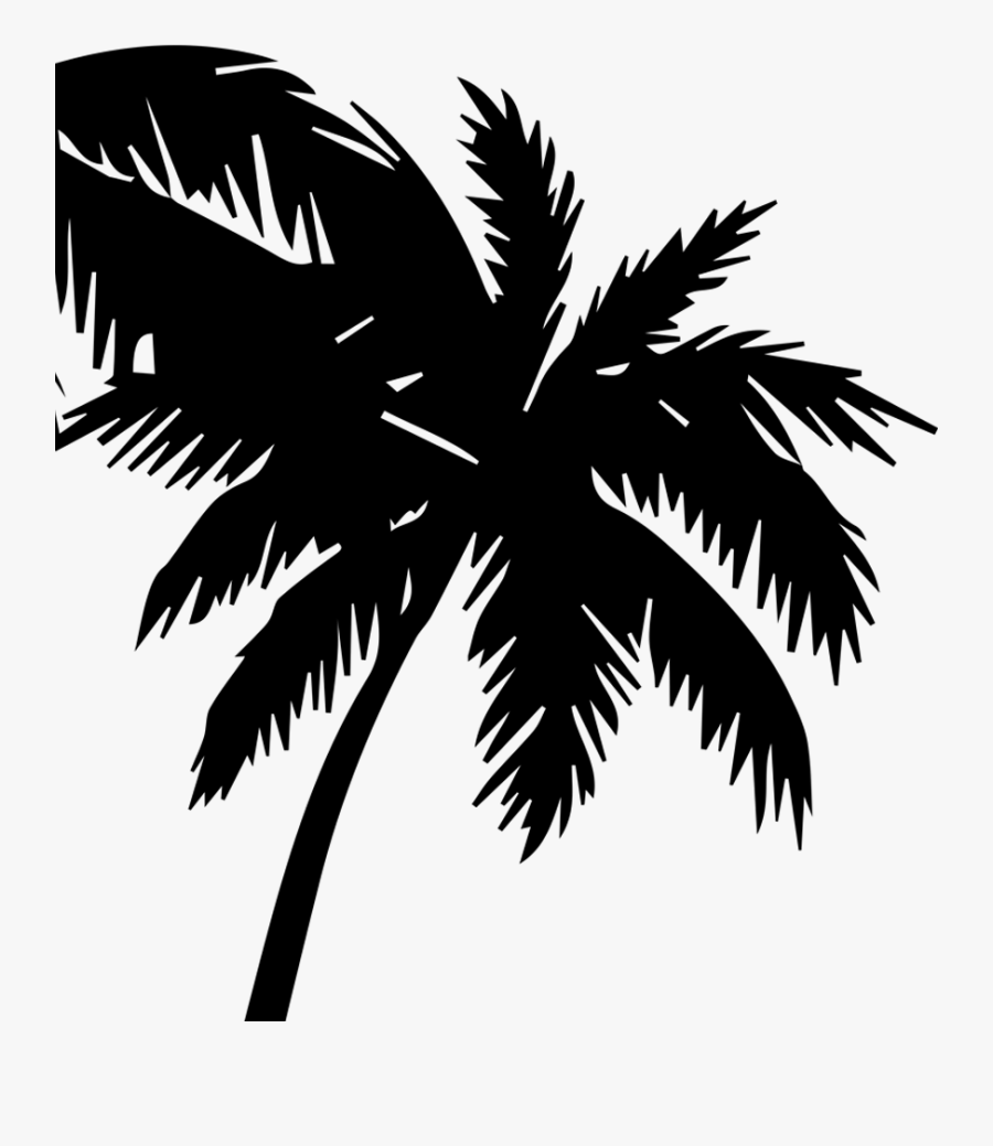 Palm Tree Silhouette Transparent, Transparent Clipart