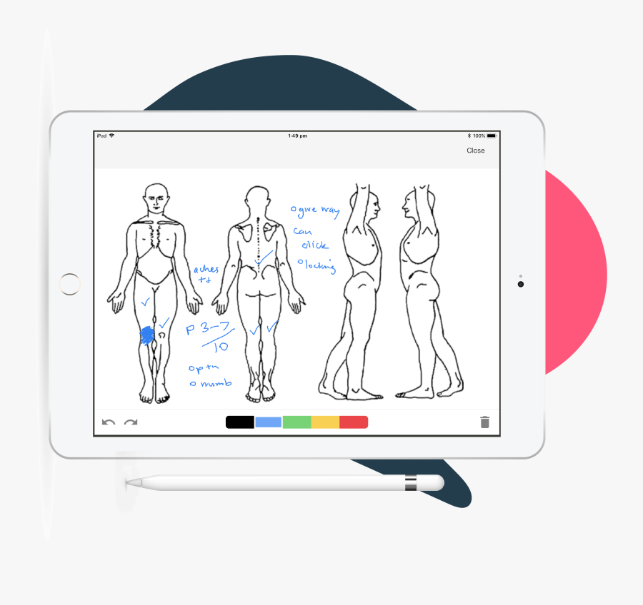 Ipad App Pen Drawing - Body, Transparent Clipart