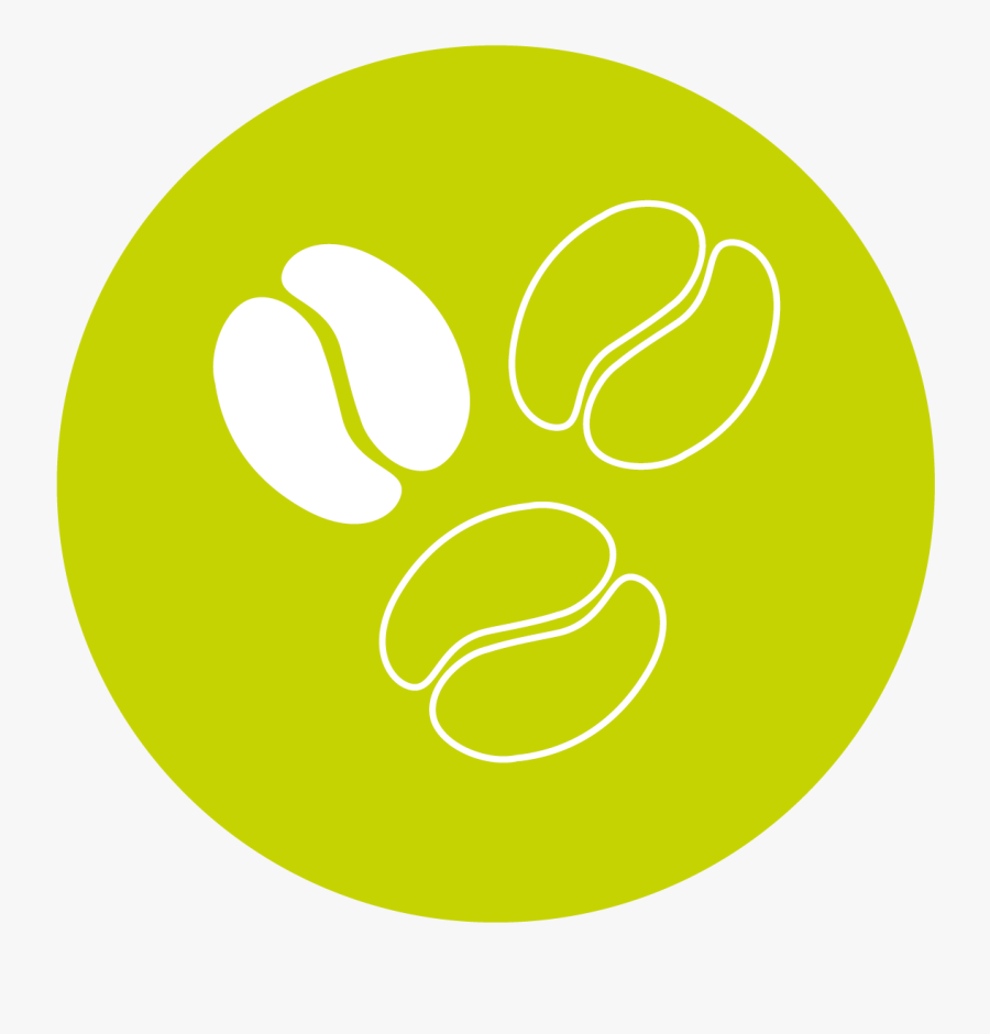 Circle, Transparent Clipart