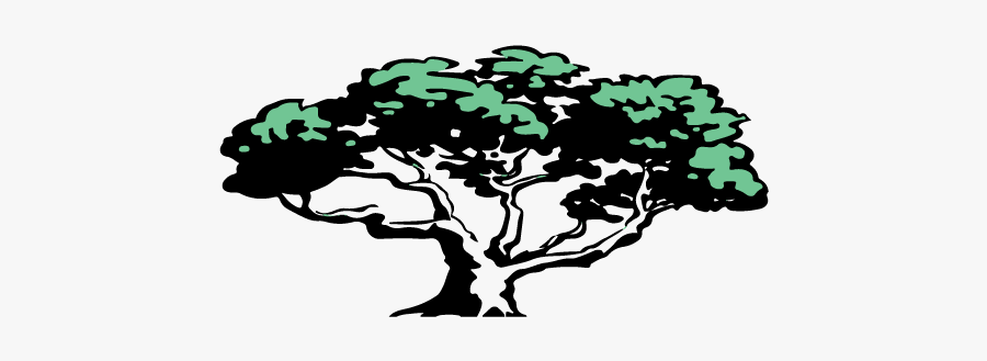 Illustration, Transparent Clipart