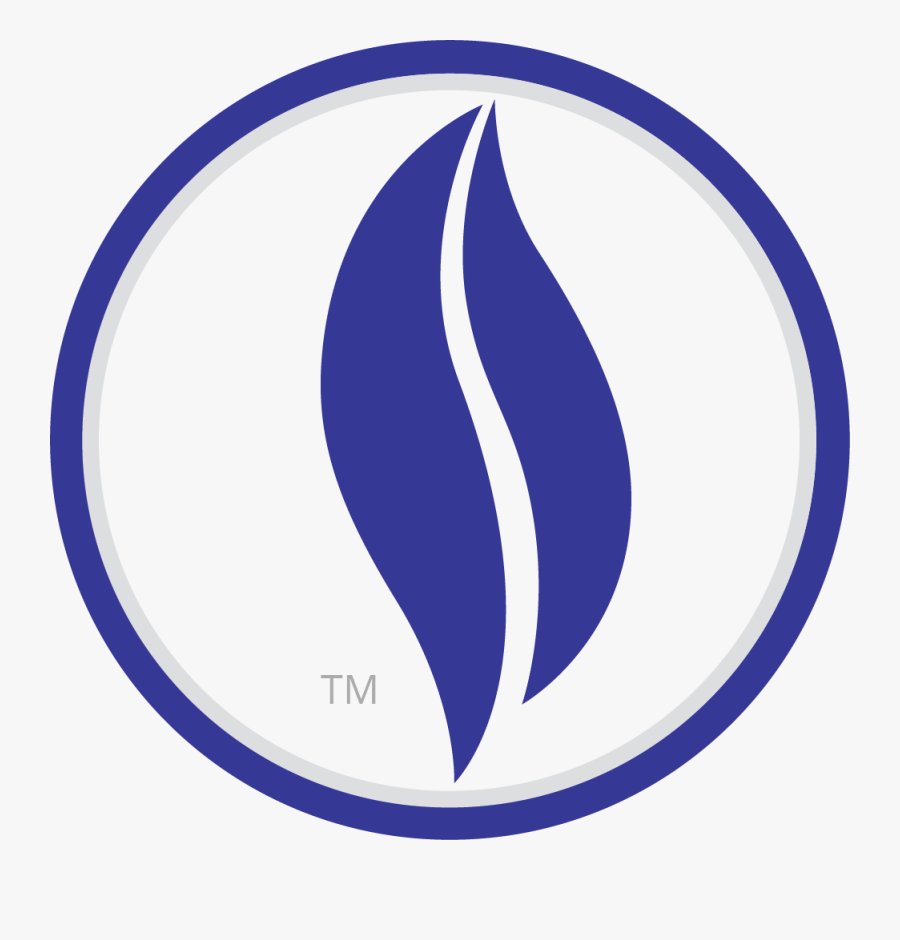 Circle, Transparent Clipart