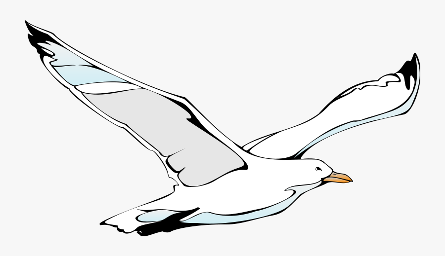 Transparent Bird Vector Png - Cartoon Seagull Flying Transparent, Transparent Clipart