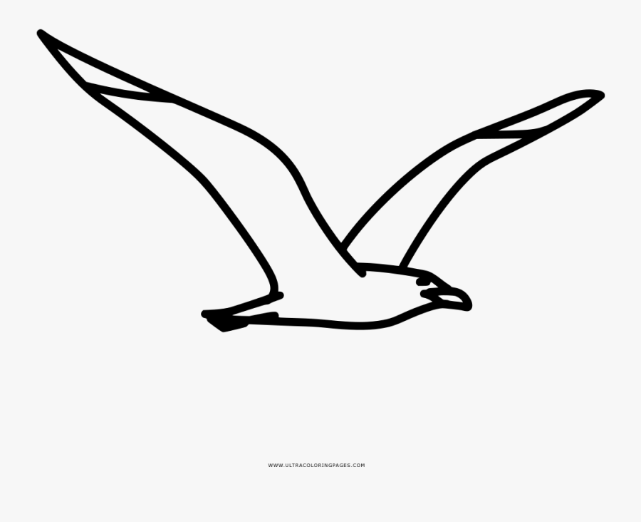 Seagull Coloring Page - Line Art, Transparent Clipart
