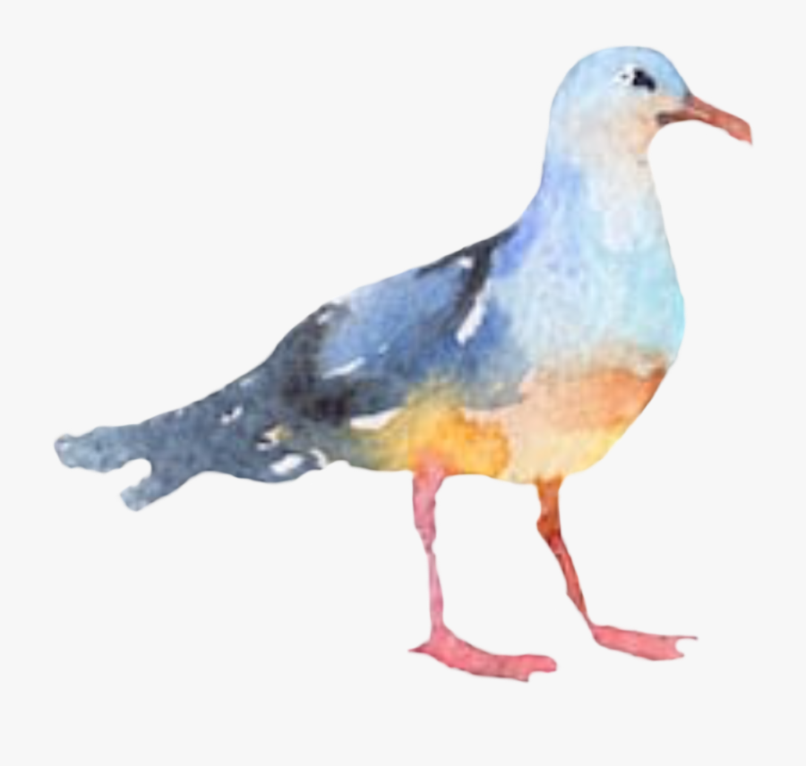 #bird #seagull #watercolor #freetoedit - Watercolor Seagull Clipart Png, Transparent Clipart