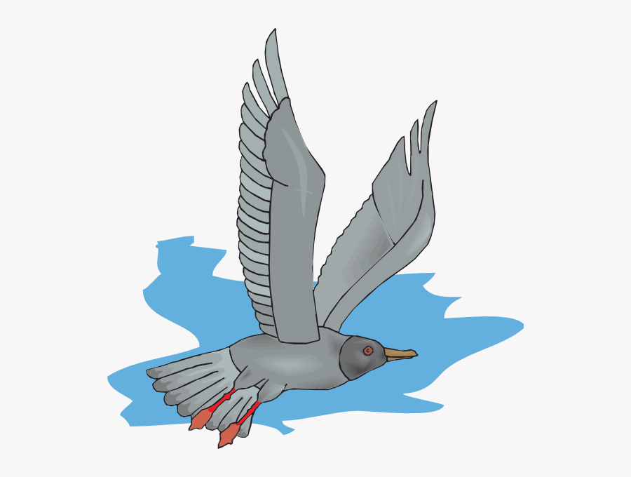 Gray Seagull Icon Png, Transparent Clipart