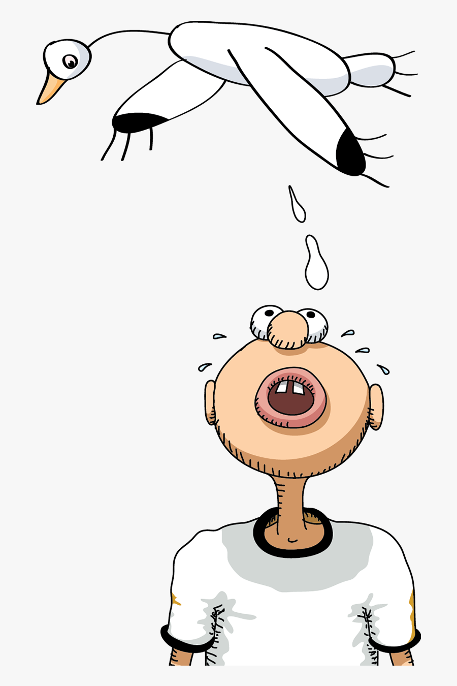 Cartoon, Transparent Clipart
