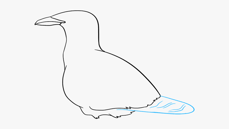 How To Draw Seagull - European Herring Gull, Transparent Clipart