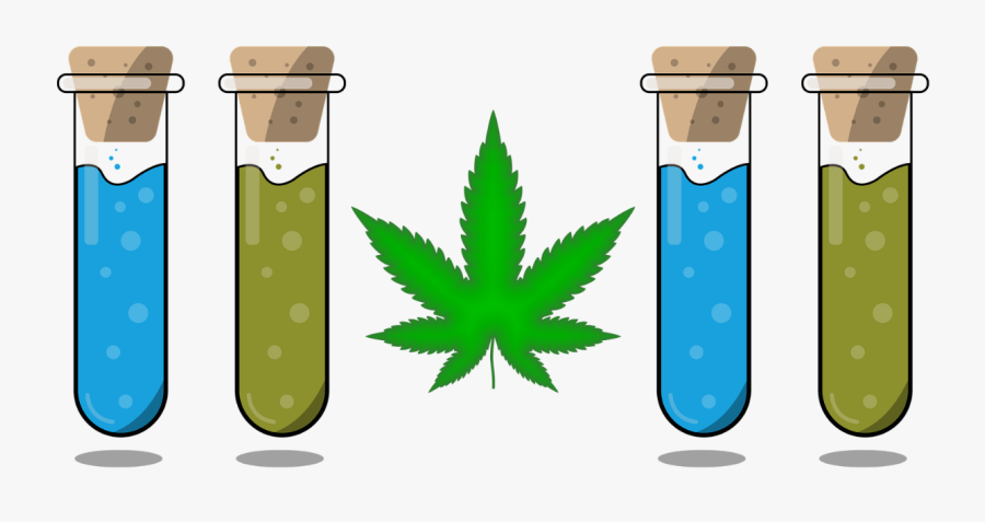 Columbus Clip Art, Transparent Clipart