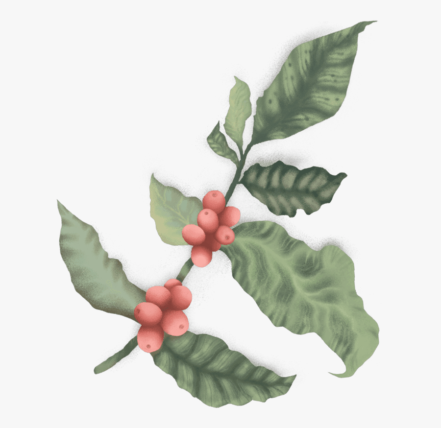 Illustration, Transparent Clipart