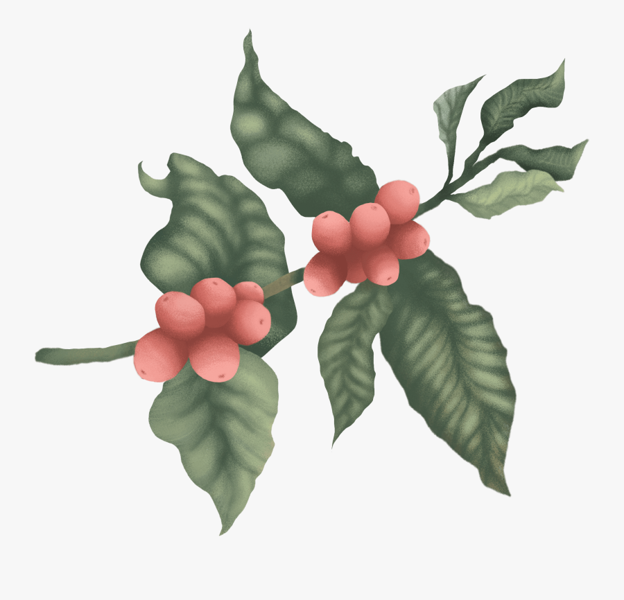 Fruit, Transparent Clipart