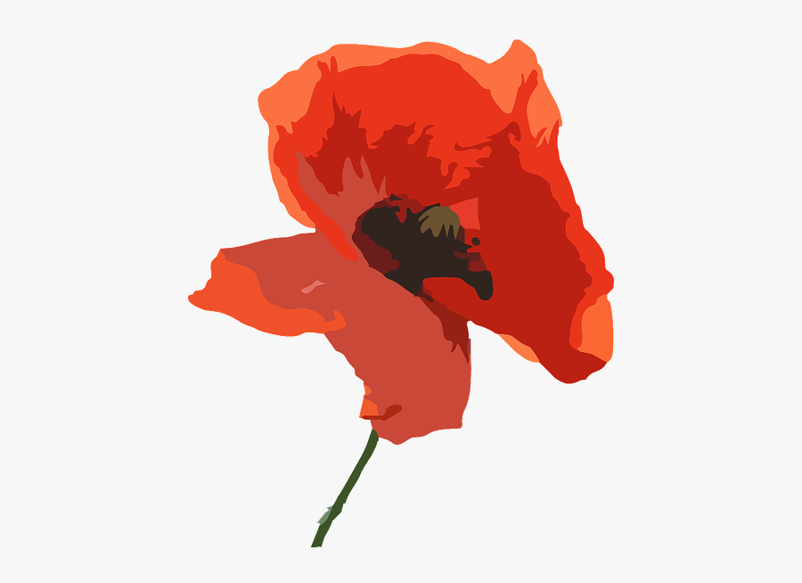 Watercolor Transparent Poppy, Transparent Clipart