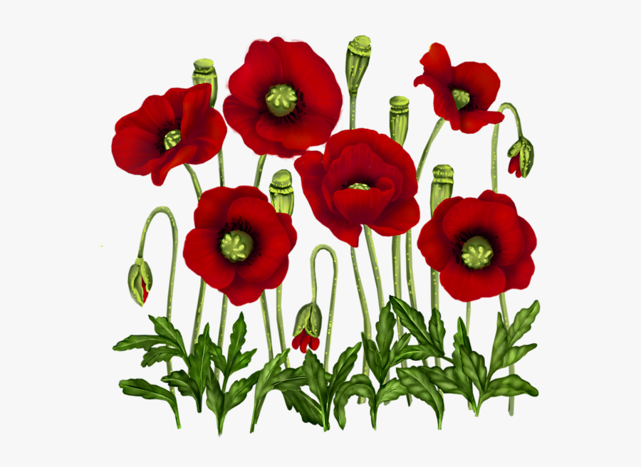 Te Premte Te Mbare, Transparent Clipart