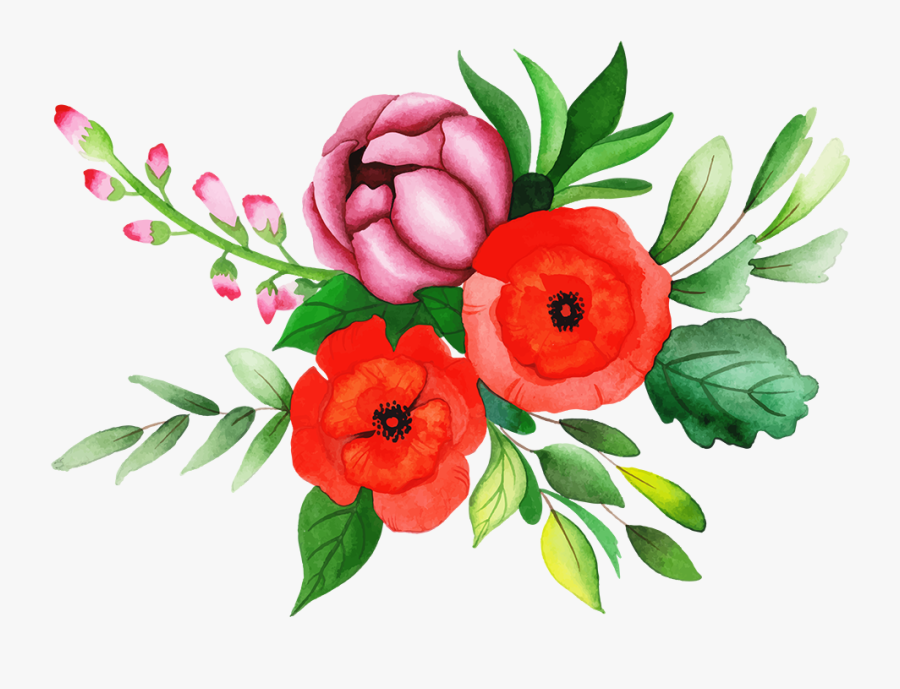 Common Peony, Transparent Clipart