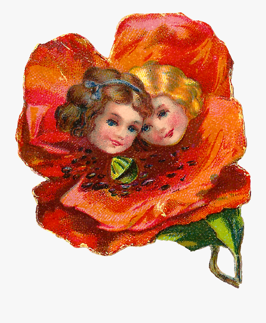 Garden Roses, Transparent Clipart