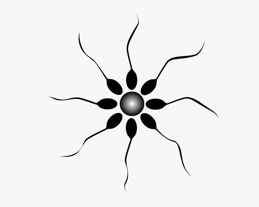 Security Board Of Nepal Logo, Transparent Clipart