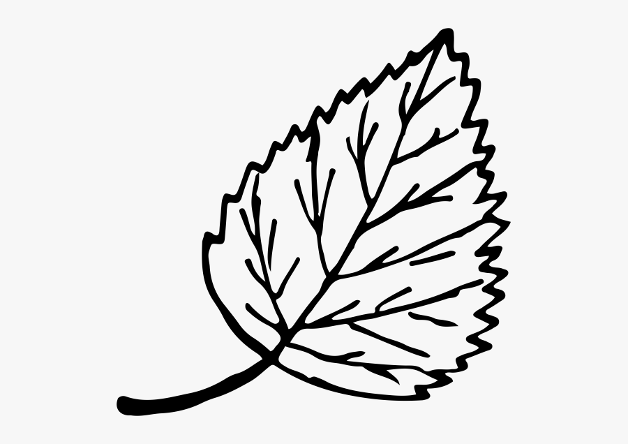 Deluxe Ash Firewood Logs - Line Art, Transparent Clipart
