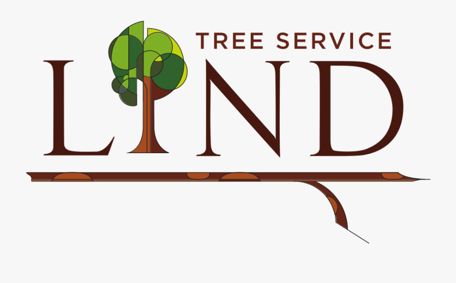 We Provide Forest Management Consulting And Free Tree - Masquerade Motel, Transparent Clipart