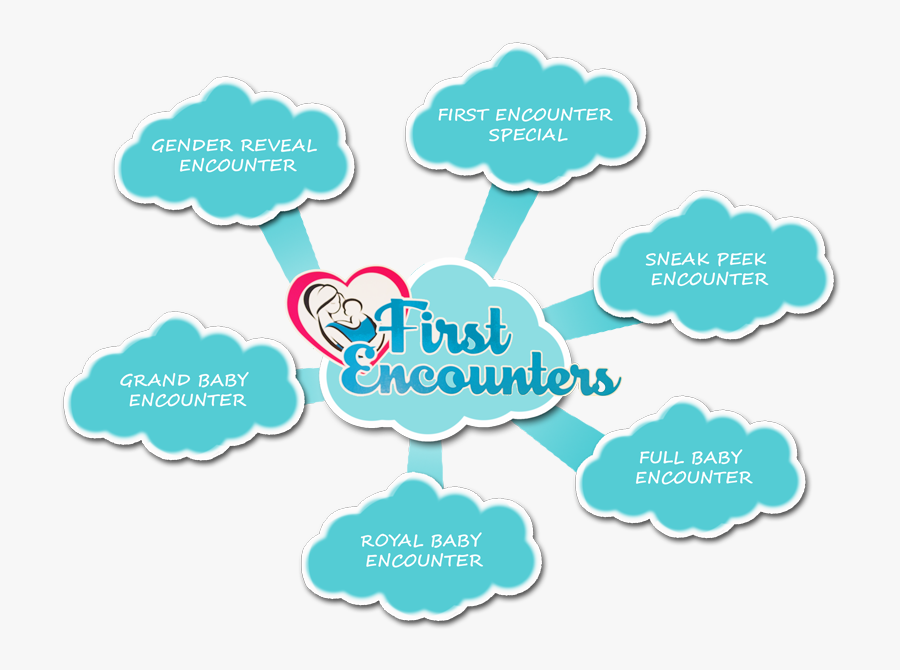 Ultrasound Gender Reveal Online Scheduling Sonogram, Transparent Clipart