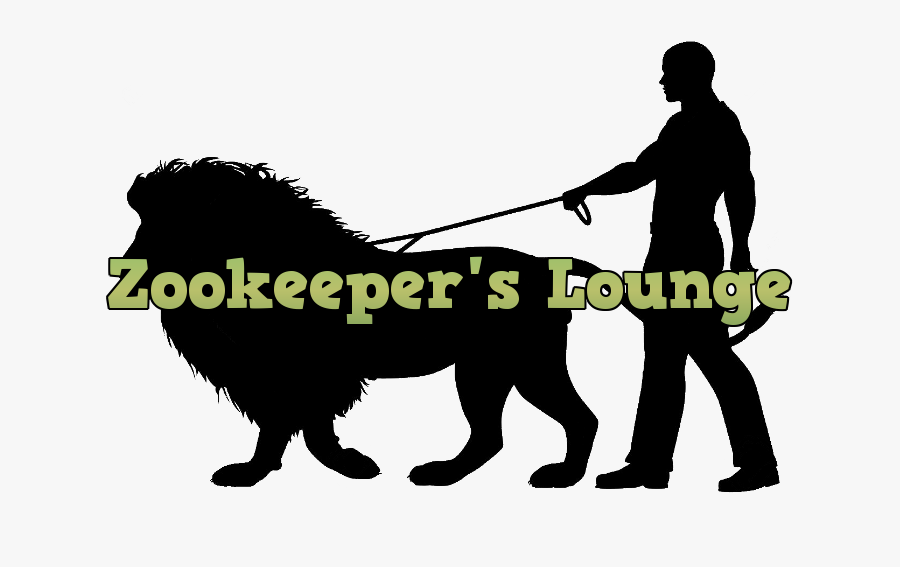 Shaake, Transparent Clipart