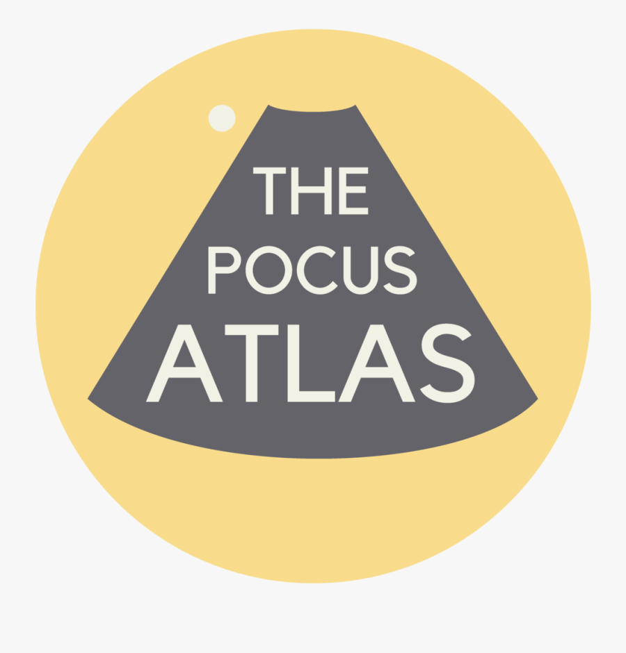 Ultrasound Clip Art, Transparent Clipart