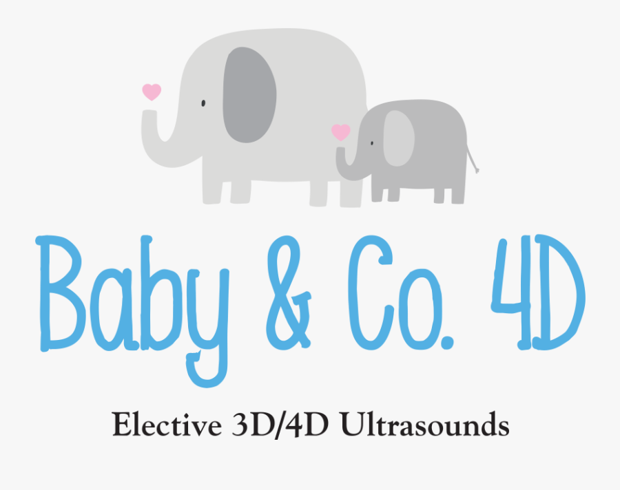 Indian Elephant, Transparent Clipart