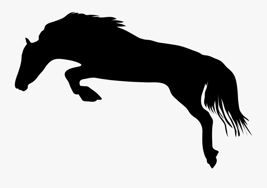 Stallion, Transparent Clipart