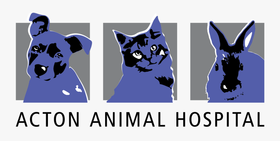 Acton Animal Hospital - Cartoon, Transparent Clipart
