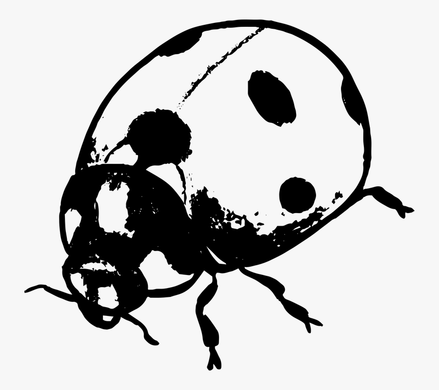 Transparent Marienkäfer Clipart - Ladybug Silhouette Png, Transparent Clipart