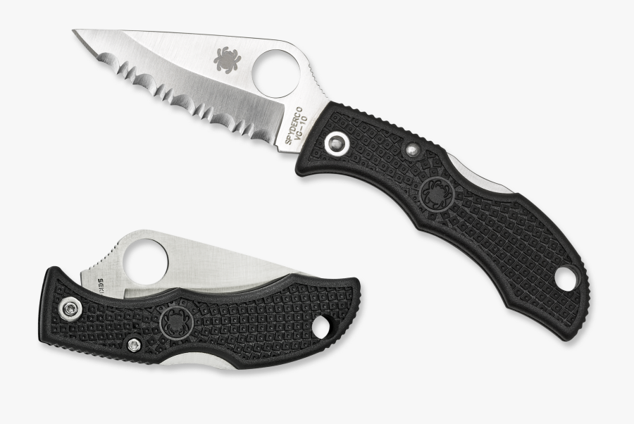 Спайдерко Ледибаг, Transparent Clipart