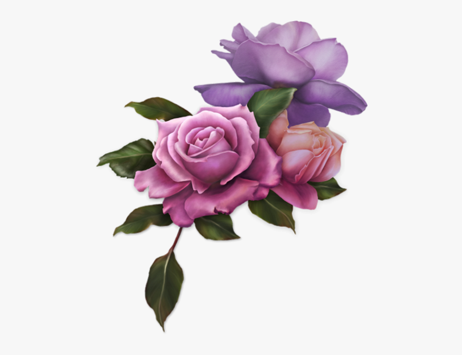 Flower, Transparent Clipart