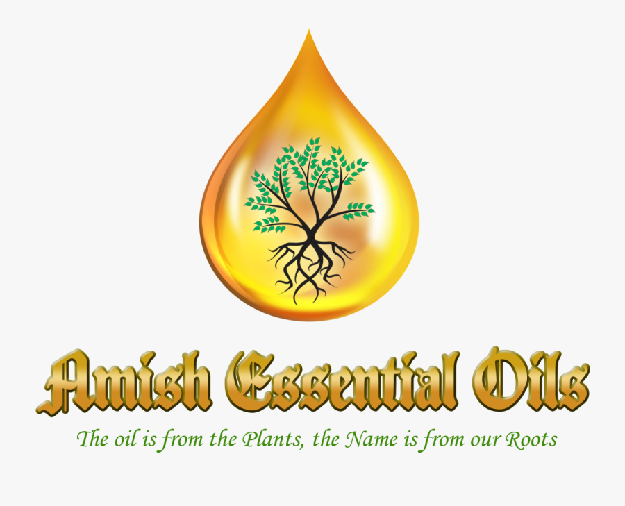 Calligraphy, Transparent Clipart