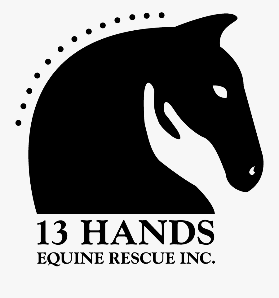13 Hands Equine Rescue, Transparent Clipart