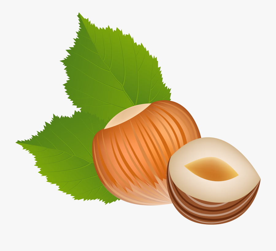 Nut Clipart Clip Art - Hazelnut Clipart, Transparent Clipart