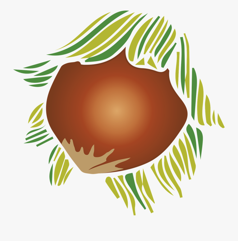 Almond, Plant, Fruit, Nature, Vegetable, Food - Illustration, Transparent Clipart