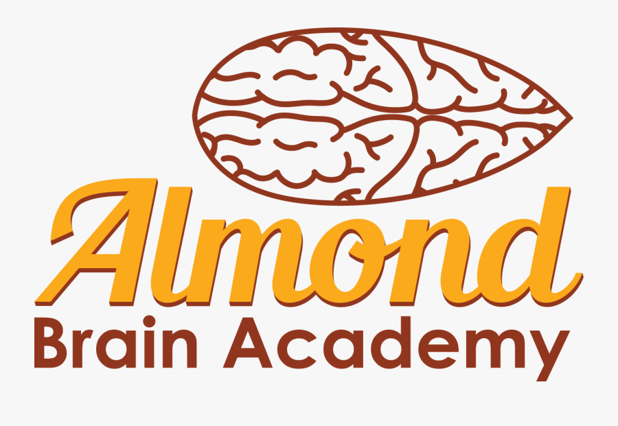 Almond In Brain, Transparent Clipart