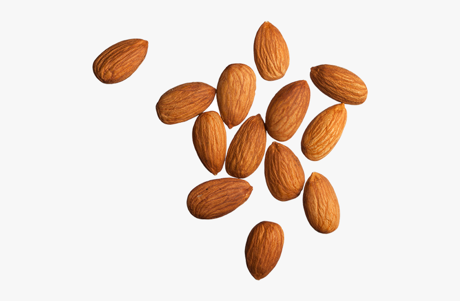 Product Marcona Almonds Vs Almonds , Free Transparent Clipart