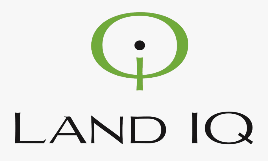 Circle, Transparent Clipart