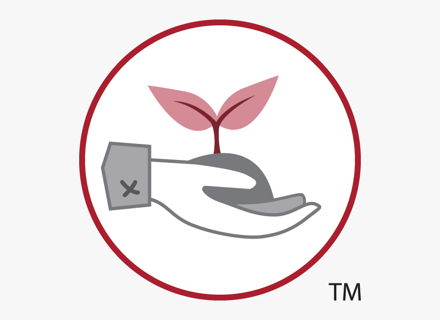 Logo Giáo Phận Kon Tum, Transparent Clipart