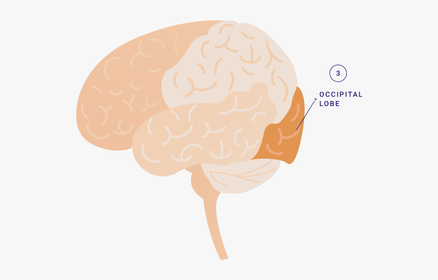 Illustration, Transparent Clipart