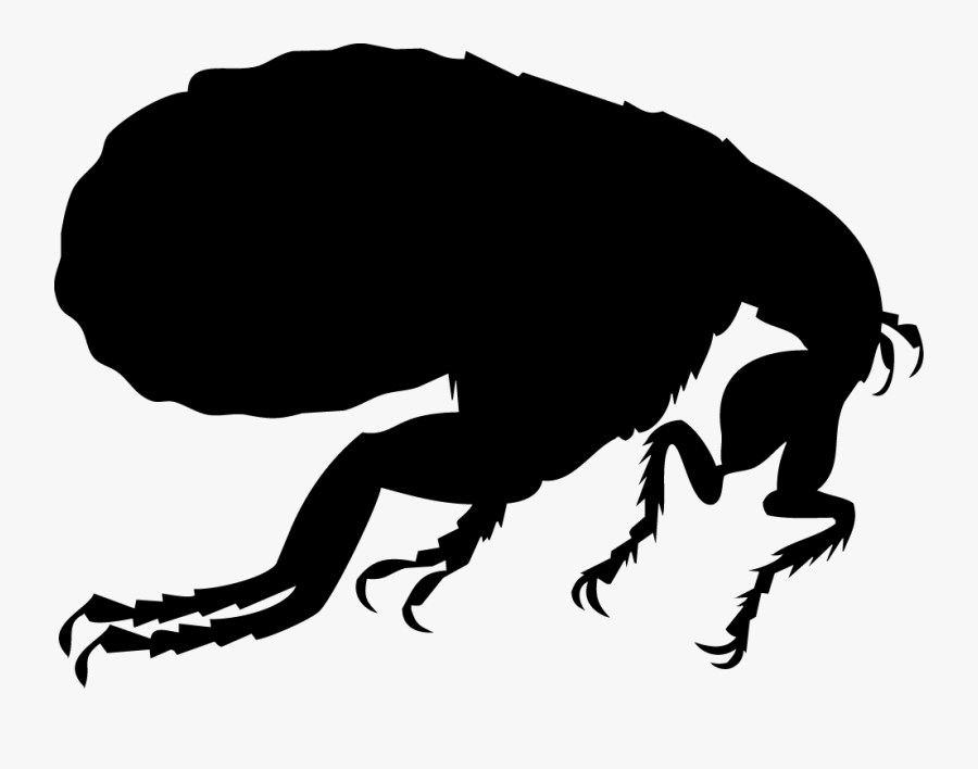 Uqljr - Rat Flea Silhouette, Transparent Clipart