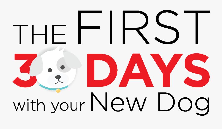 Share Your Top Tips In The Comments Below And Let"s, Transparent Clipart