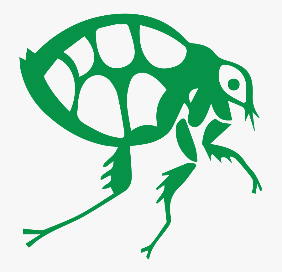 Flea Clipart, Transparent Clipart