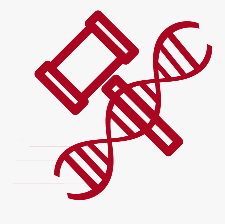 Cadena De Adn Png, Transparent Clipart